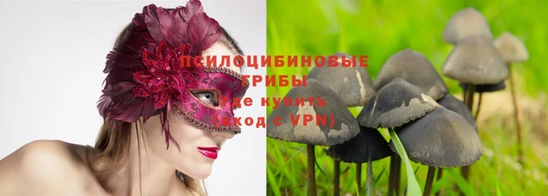 скорость Баксан