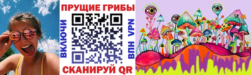 Галлюциногенные грибы ЛСД  Салаир 